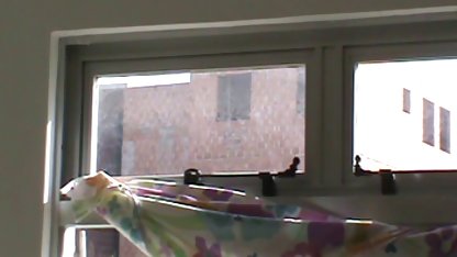 Vacker gratis porr hd brud fick en passionerad orgasm under sex